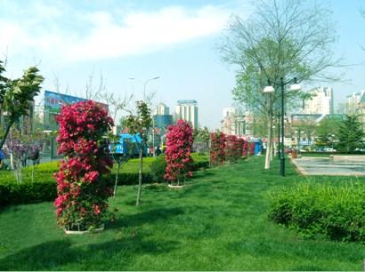 济南市城市园林绿化局