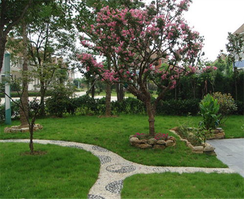 合肥私人别墅庭院园林景观绿化施工创新设计 合肥大观园