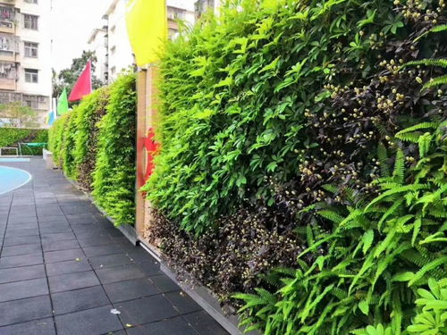 海南植物墙海口植物墙三亚植物墙垂直绿化立体绿化屋顶绿化